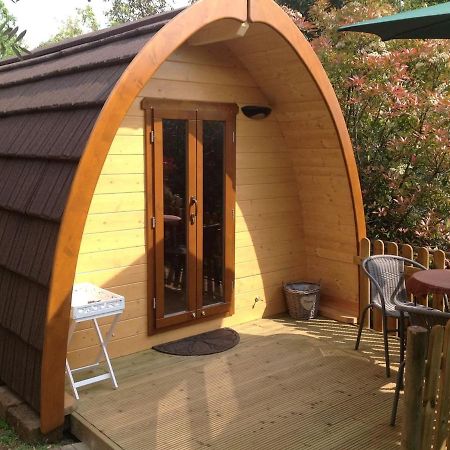 Igloo Garden Lake 索亚诺·德尔·拉戈 外观 照片